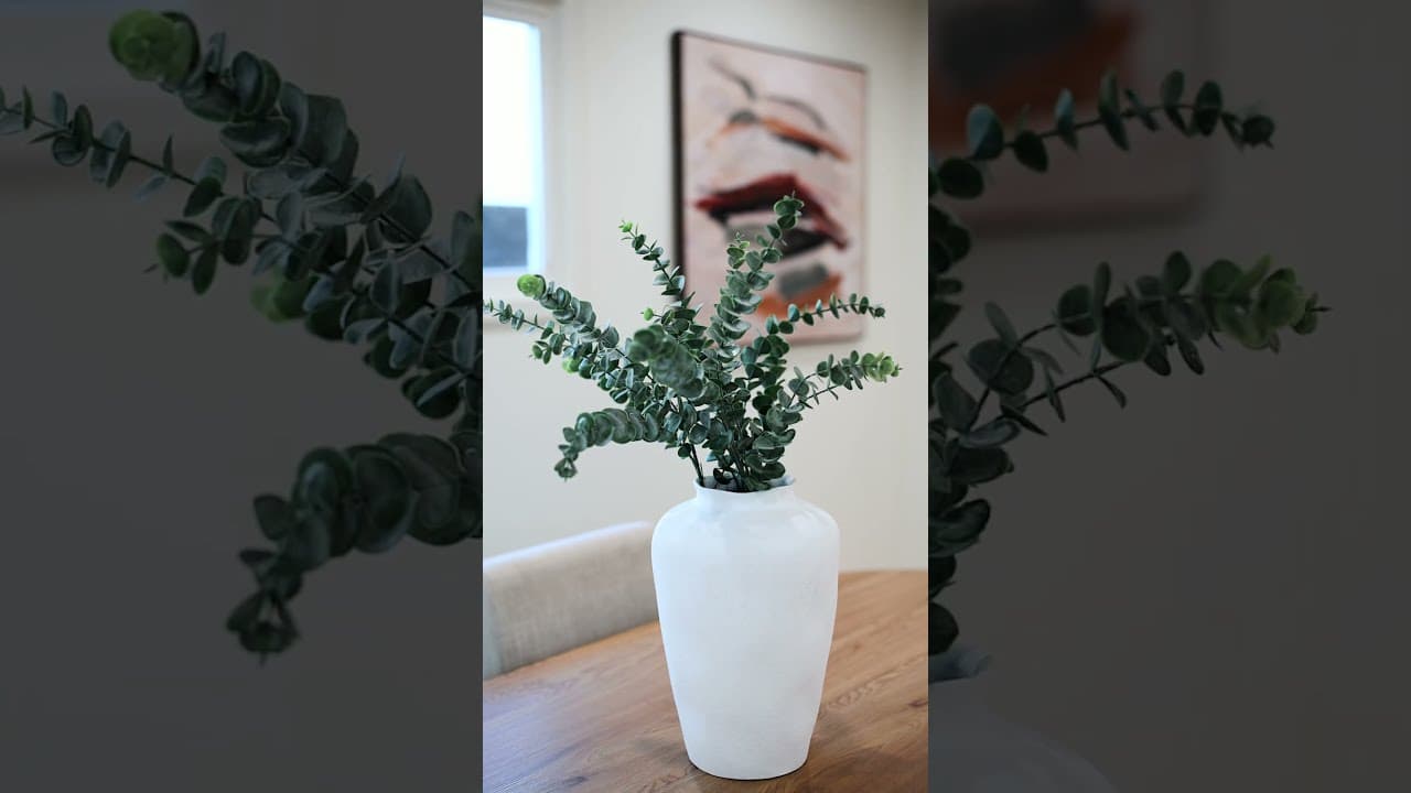 Real Estate showcase edit